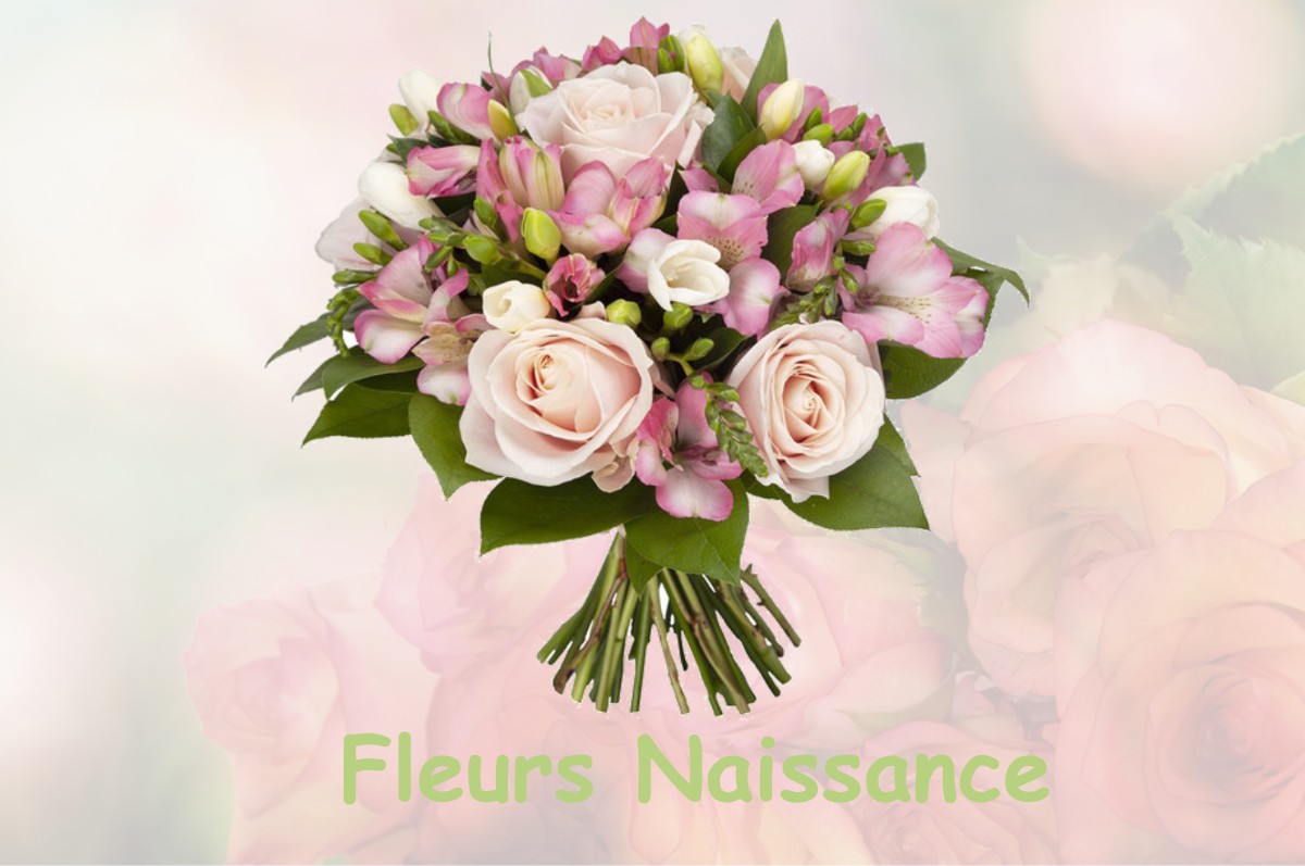 fleurs naissance BOURRIOT-BERGONCE