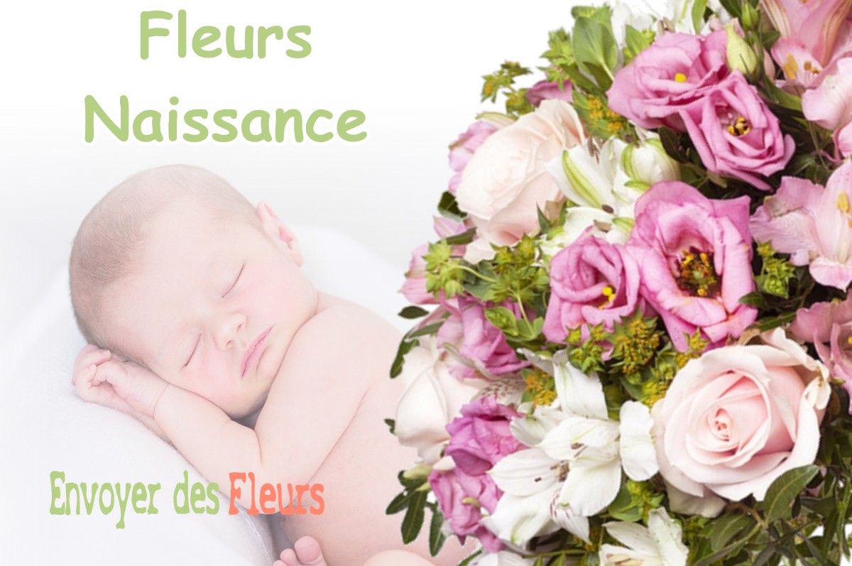 lIVRAISON FLEURS NAISSANCE à BOURRIOT-BERGONCE